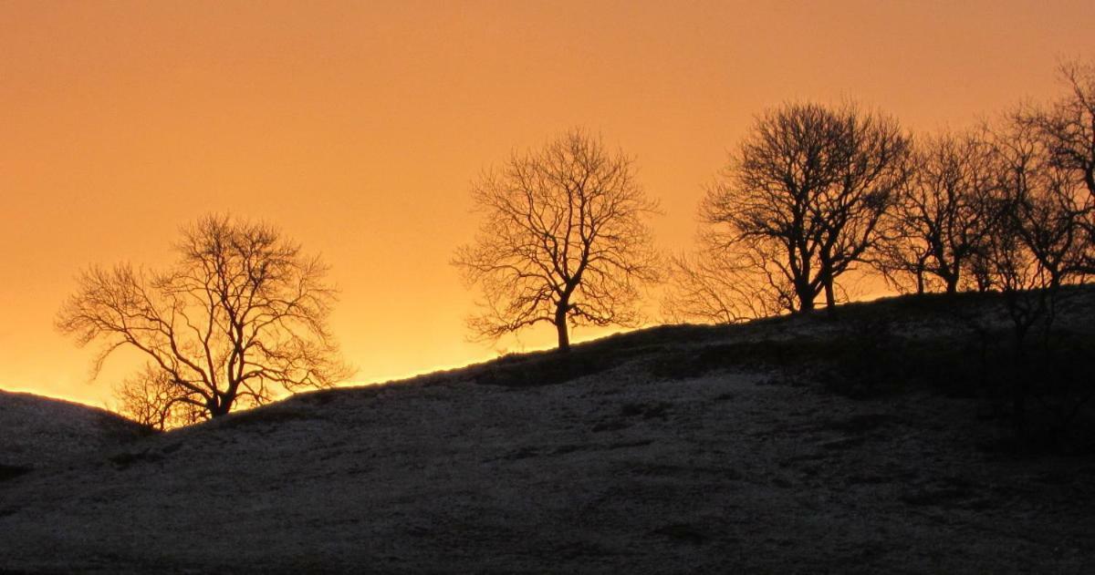 Scar Close Farmhouse Hotell Settle Eksteriør bilde